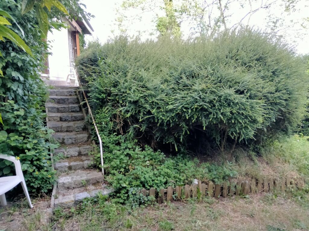 IMG20220518185839 (Grand)